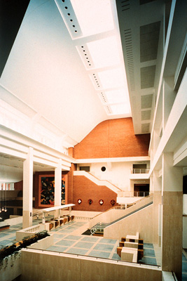 11-library.jpg
